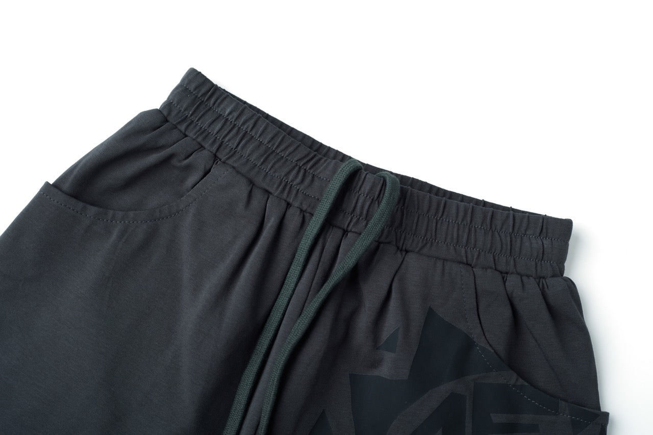 Charcoal Core Shorts (W)